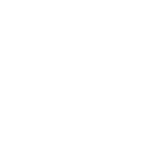 Vilniaus Rotušė - Remėjai